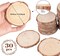 Wood Slices, 30PCS 3.1''-3.5''Natural Wooden Christmas Ornaments Kit Unfinished Wooden Circles with Pre-Drilled Hole, Acrylic Paint, Diamonds, DIY Craft for Kids Adults Holiday Decor